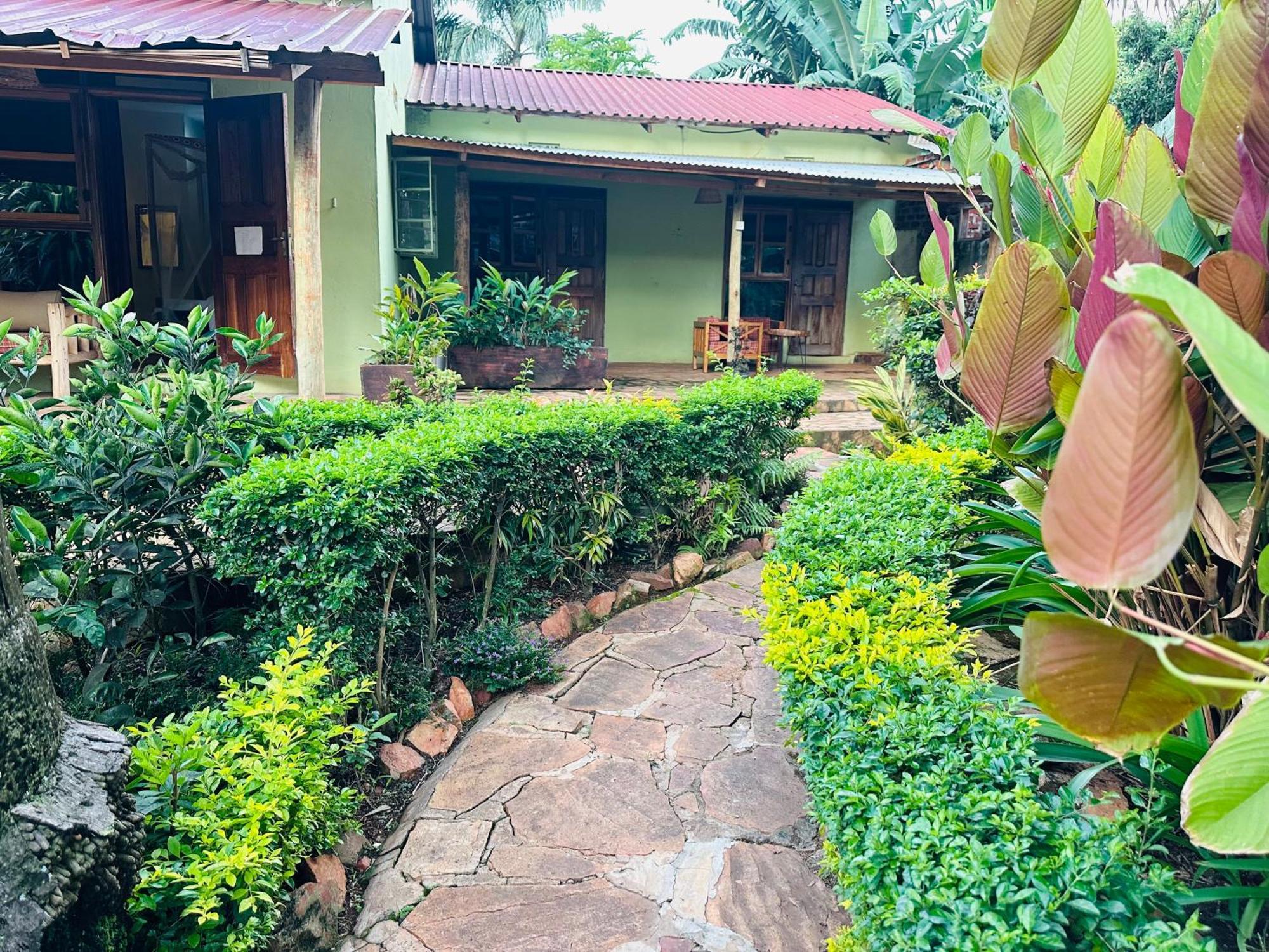 Afro Smile Hotel & Guest House Jinja Exteriér fotografie