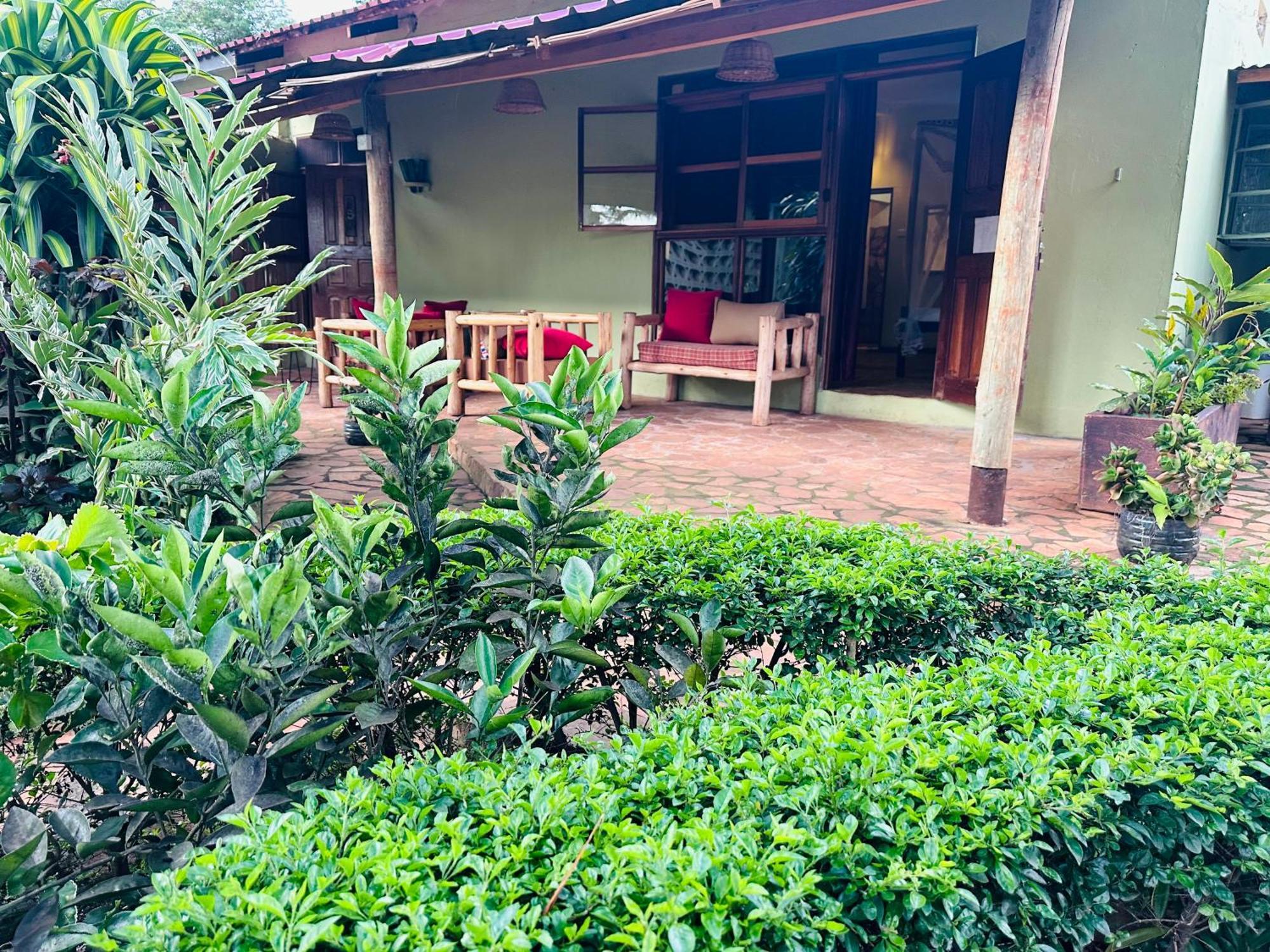 Afro Smile Hotel & Guest House Jinja Exteriér fotografie
